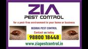 Service, Other, Pesticides, Home service, Pest control Solution.